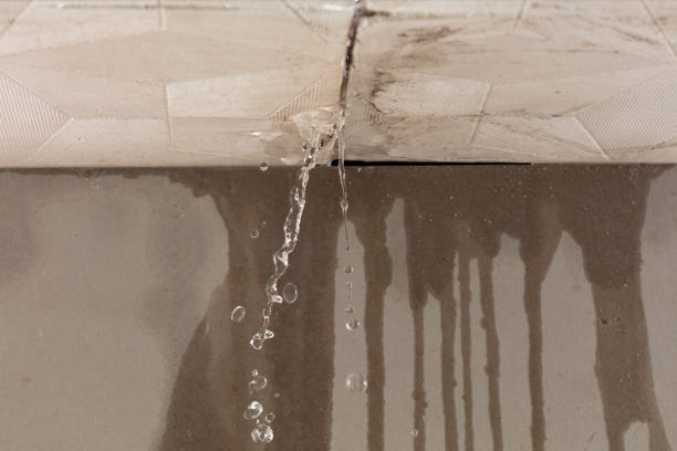 Professional Flood Damage Cleanup technician working in Longview, TX